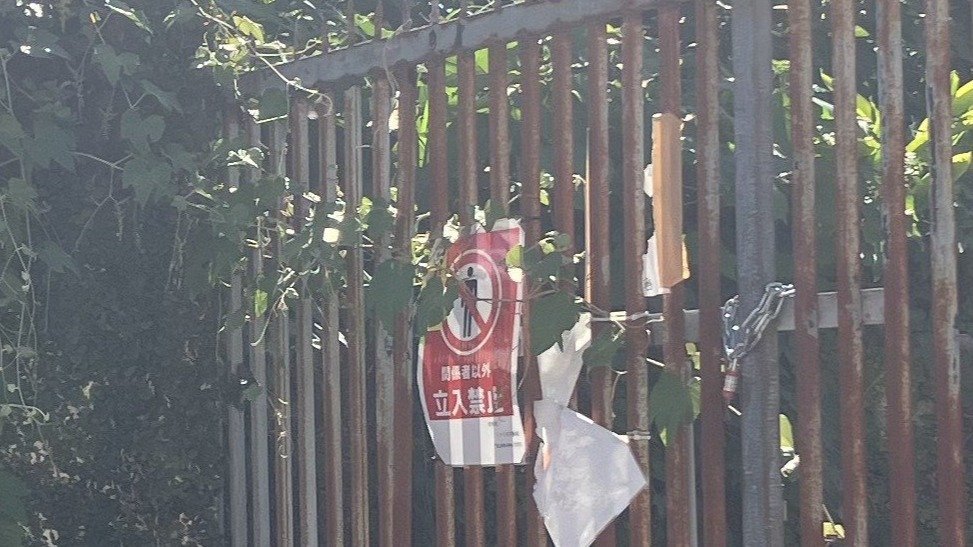 焔環幻理ドワォ (@phantasmblazing) / Posts / X