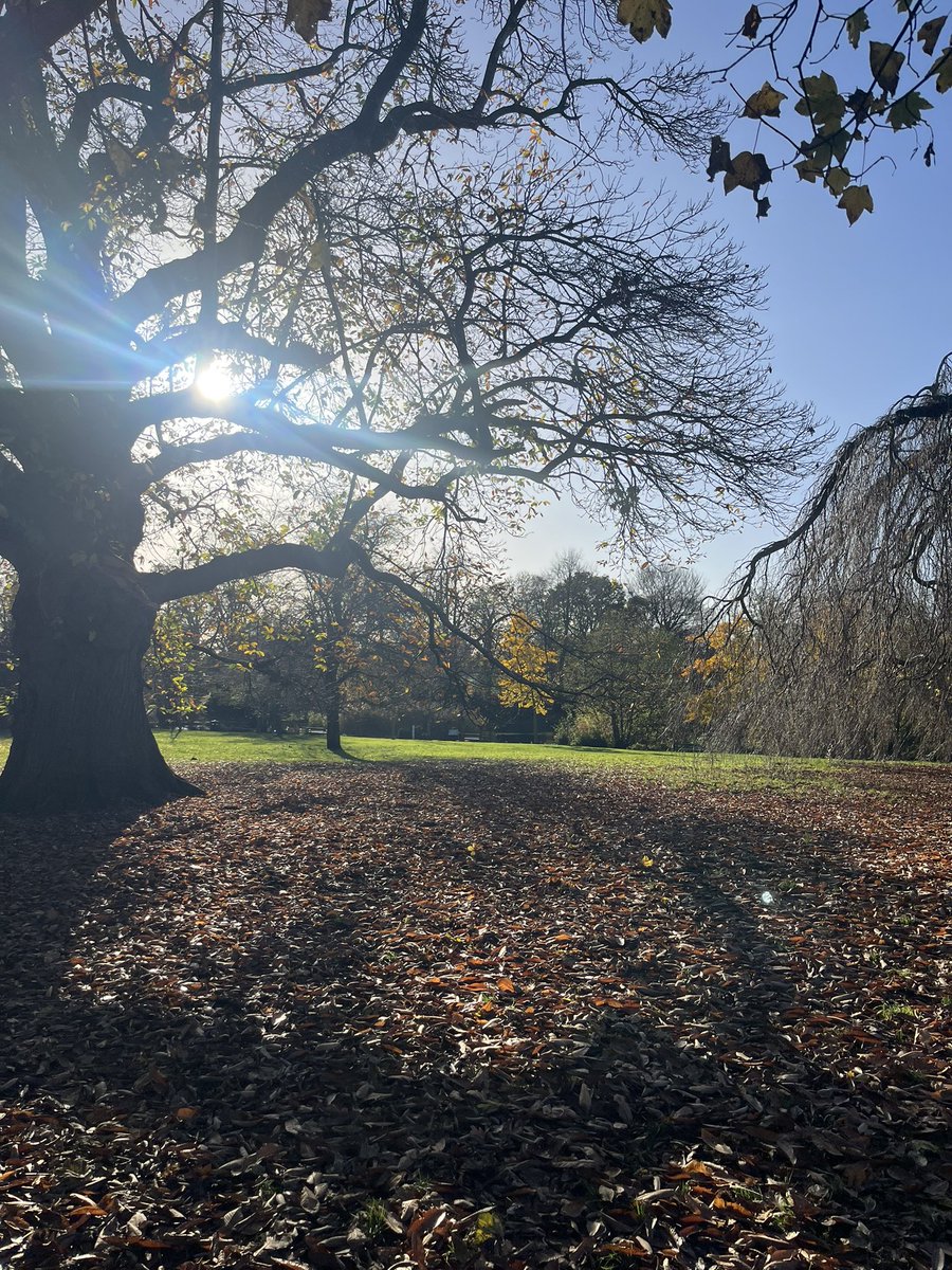 BOOSH_Dawson's tweet image. WE DRINK TOGETHER 🤪🍻
We get over the hangovers together 😅

BOOSH ☀️🐶👊🏻
#DogWalking #Pets