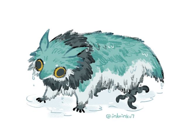 ヘビニワ🗿 tweet media