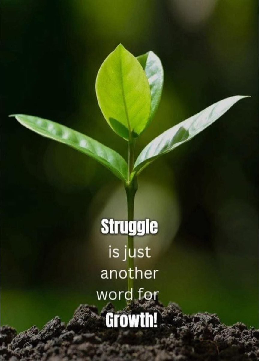 ChurinFunfly7's tweet image. Struggle ~ Growth