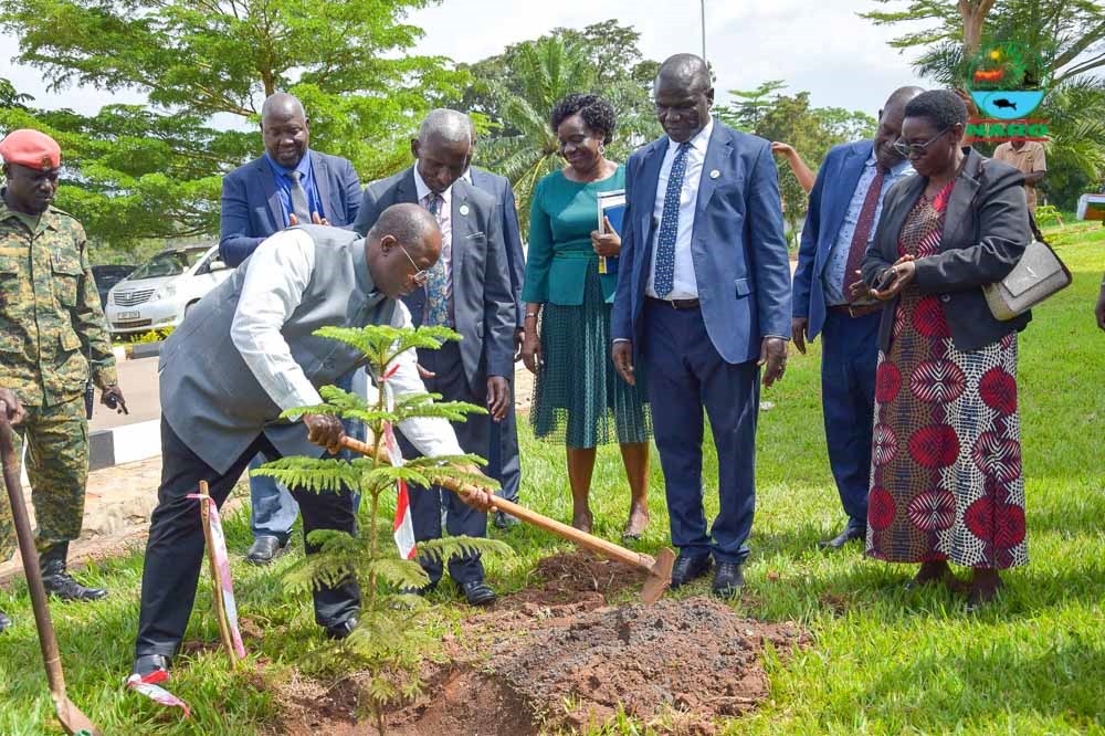 NARO_NaCRRI's tweet image. These trees, planted during #NaCRRIat
75, now stand beside a building that’s stood strong since 1950. Heritage &amp;amp; hope, growing side by side.

Honored to mark this milestone with a symbolic #tree planting celebrating history while planting #seeds of #Sustainability!