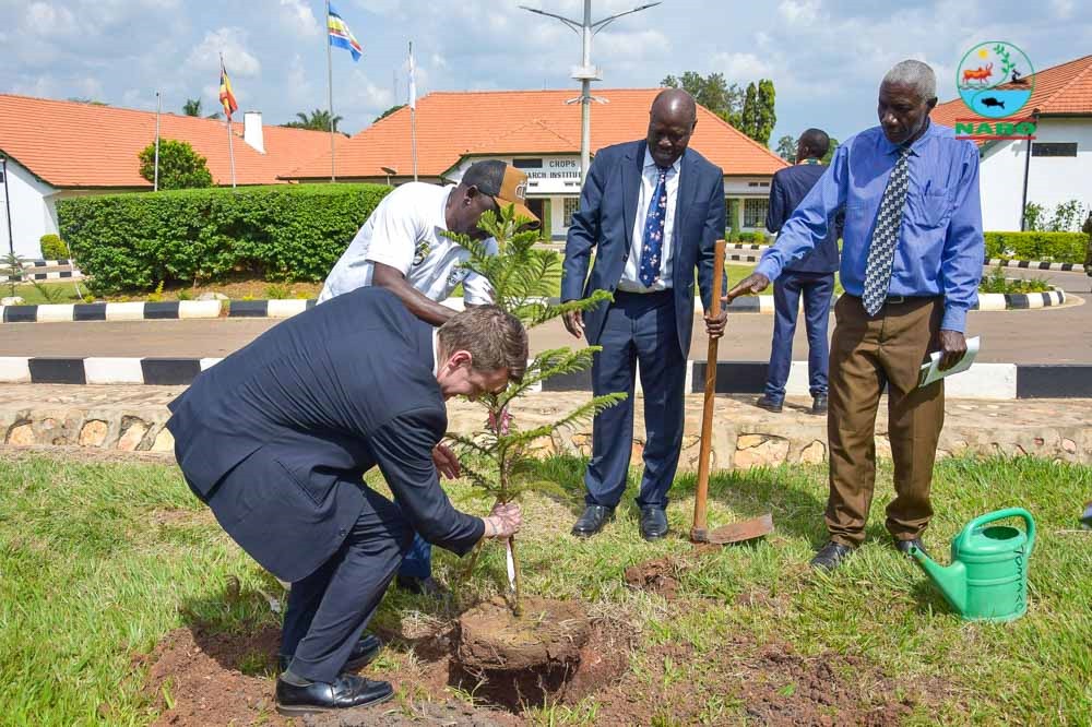 NARO_NaCRRI's tweet image. These trees, planted during #NaCRRIat
75, now stand beside a building that’s stood strong since 1950. Heritage &amp;amp; hope, growing side by side.

Honored to mark this milestone with a symbolic #tree planting celebrating history while planting #seeds of #Sustainability!