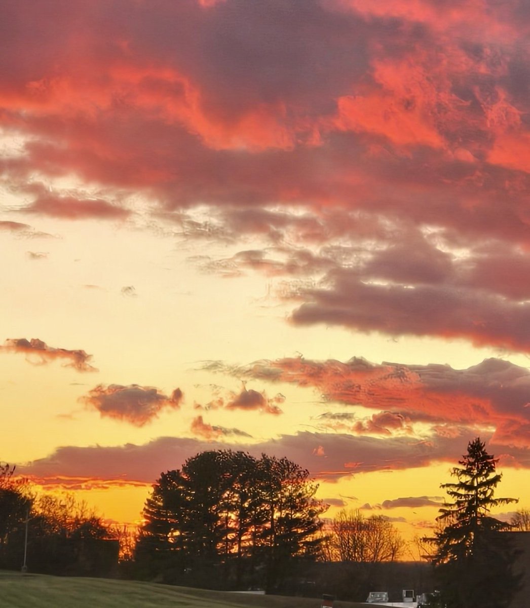 AllOverTheMapYT's tweet image. DAILY RANDOM MUSINGS
17 Nov 2025

▪️ NFL games very mediocre this year… almost feel scripted?

▪️ Sunday was pure ⚽️ magic.. my son scores winner at the death + same with Ireland 🇮🇪

▪️ Late autumn sunsets are unbeatable ⬇️

▪️ Time in nature for everyone is needed