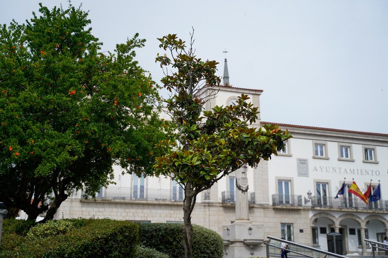 Ayuntamiento Colmenar Viejo tweet media