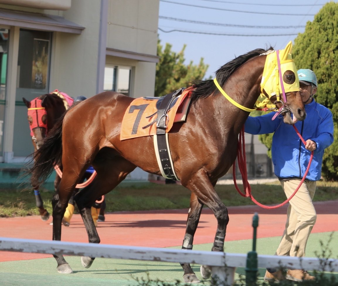 レーマネ (@OKshotb) / Posts / X