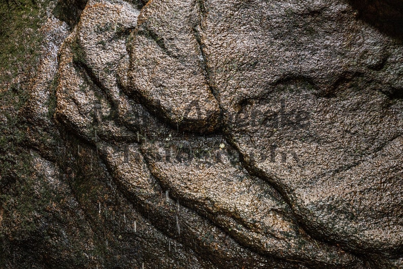 DigginThruTheAt's tweet image. Mossy Wet Rock Photo Texture: Digital Background
etsy.com/listing/156196… #mamboteam