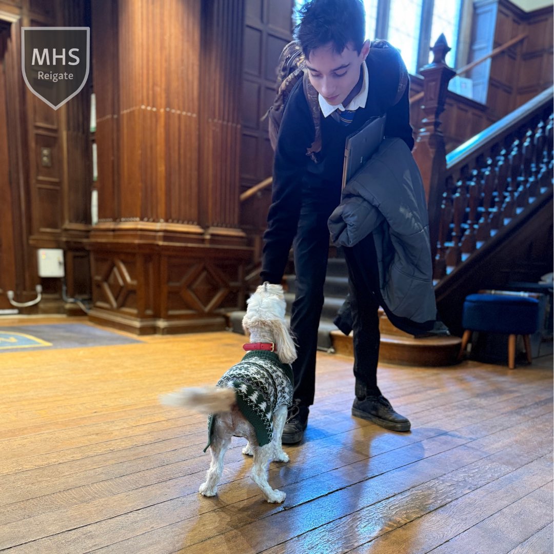 Moon Hall School, Reigate tweet media