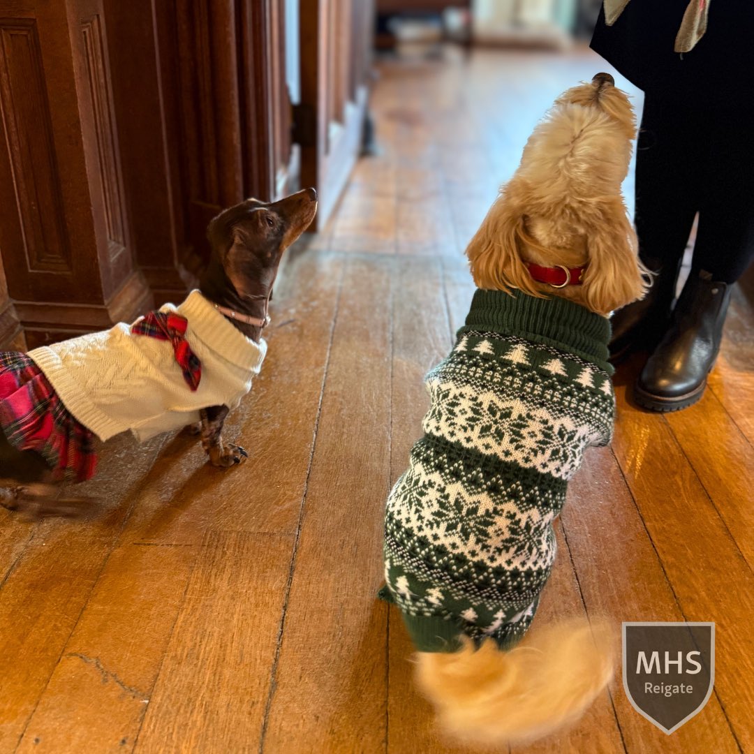 Moon Hall School, Reigate tweet media