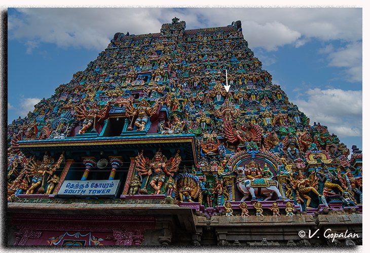 TheGopalan's tweet image. They say that there are more than 50,000 sculptures on each Gopuram of Madurai Meenakshi Amman temple.

Actual position of what you see in the second picture (Close up shot &amp;amp; partially colored)  is shown with an arrow in the first picture!

Zoom in and see!

How did they do…