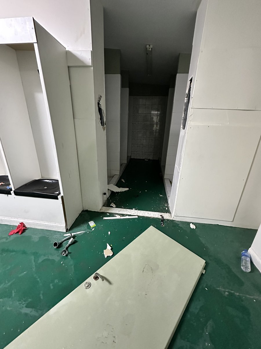 Panita Aurinegro tweet media