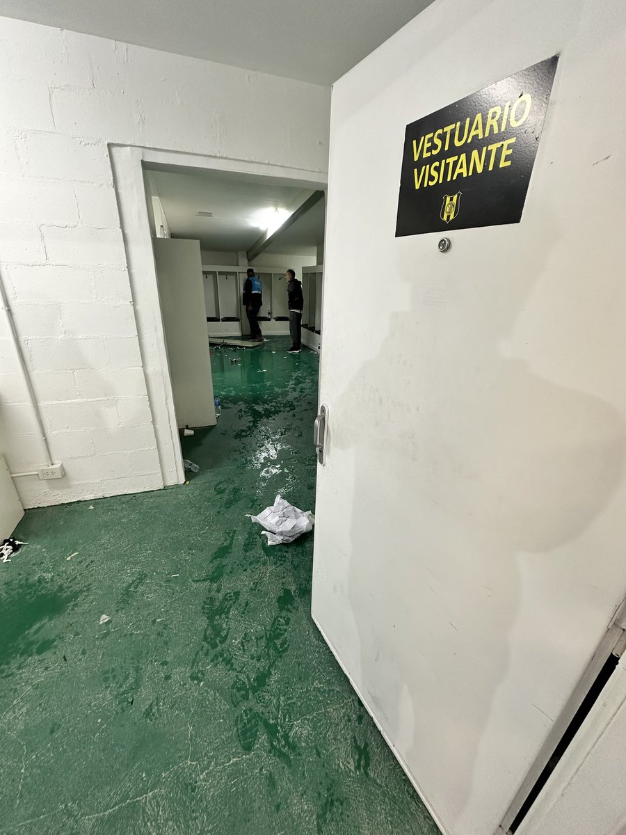 Panita Aurinegro tweet media