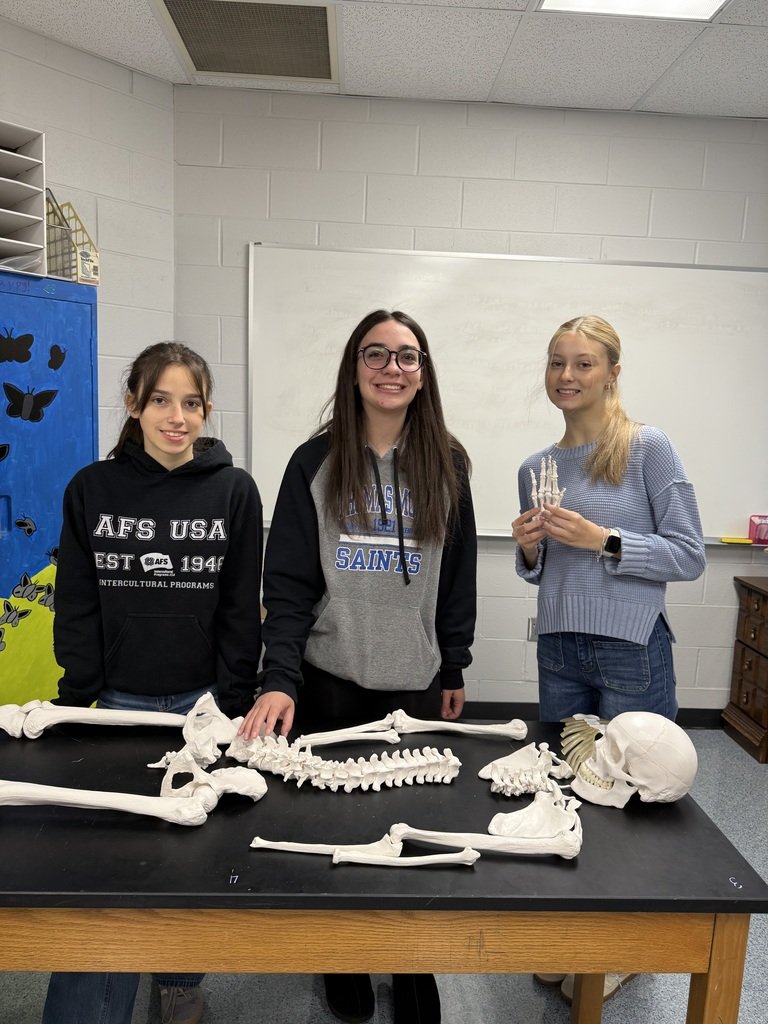 🦴 No bones about it! Stacie Werring’s BTHS class had a blast wrapping up the skeletal system unit by piecing together a full skeleton. Learning literally came together! 💀✨
#BTBetterTogether #ScienceFun
