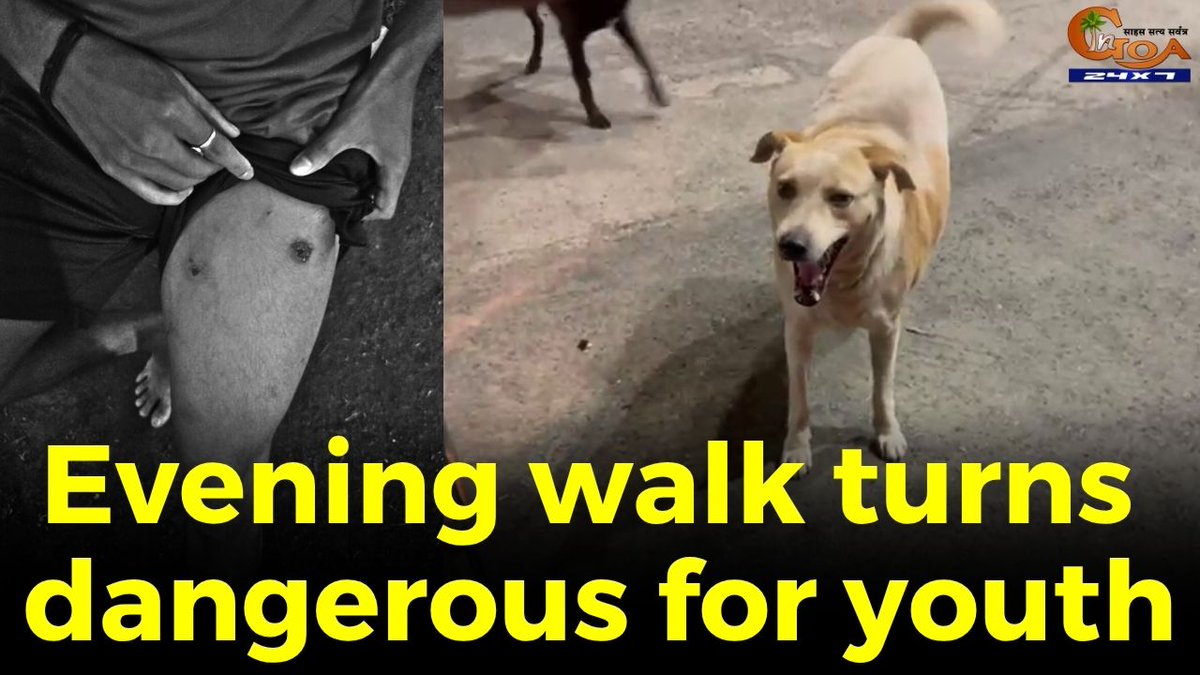 InGoa24x7's tweet photo. Evening walk turns dangerous for youth, Pet dogs from nearby resort attack and injure him during walk at Fatrade beach
WATCH: https://t.co/fCW1hiGihE
#Goa #Goanews #Dangerous #Youth #PetDogs #Attack #Injure https://t.co/9cbKKOdoF8