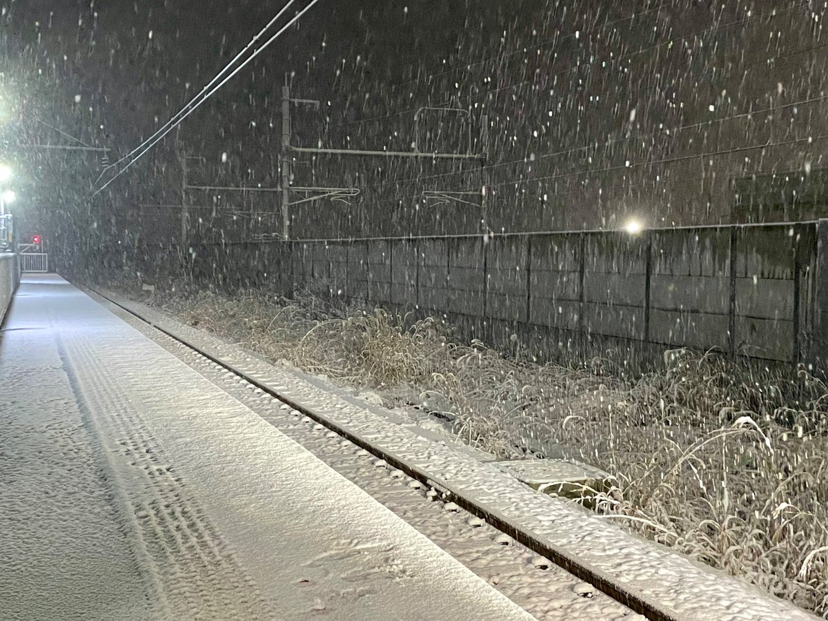 雪だ！！！！！！！！
雪です！！！！！！！！
（初雪！！！！！！！！！）