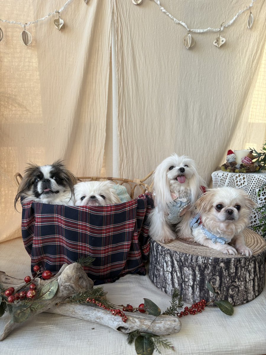 Ruby 様　7点おまとめ Ruby様7点おまとめ