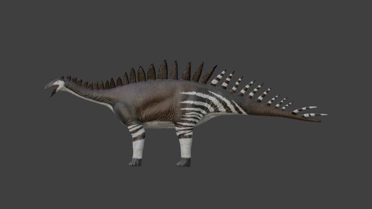 Unveiling “Dacentrurus”, one of the first Stegasaurs to be discovered. In AOA, you can play as a Dacentrurus, a herbivore that feeds on low-lying plants and shrubs. 

Did you know that the name “Dacentrurus” translates to “tail full of points.”👀 
Couldn’t have had a better name.