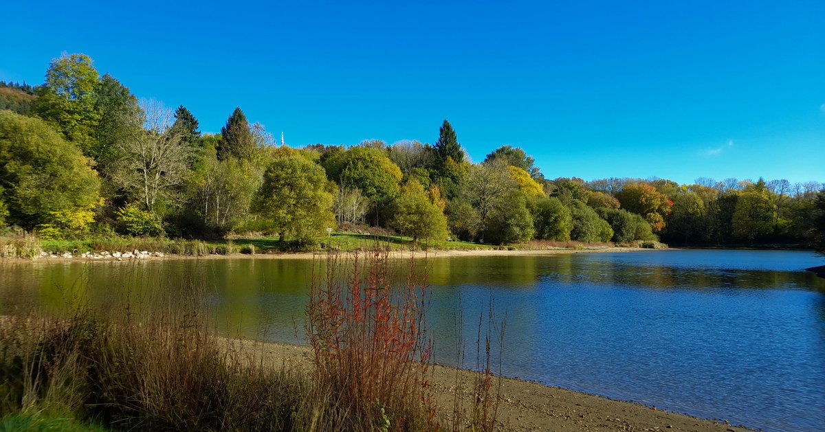 😎Profiter des derniers feux de l'automne en allant au Lac de Birotos à Pradelles Cabardès :
👉tourisme-montagnenoire.com/decouvrir/vill…
📷 VLafon