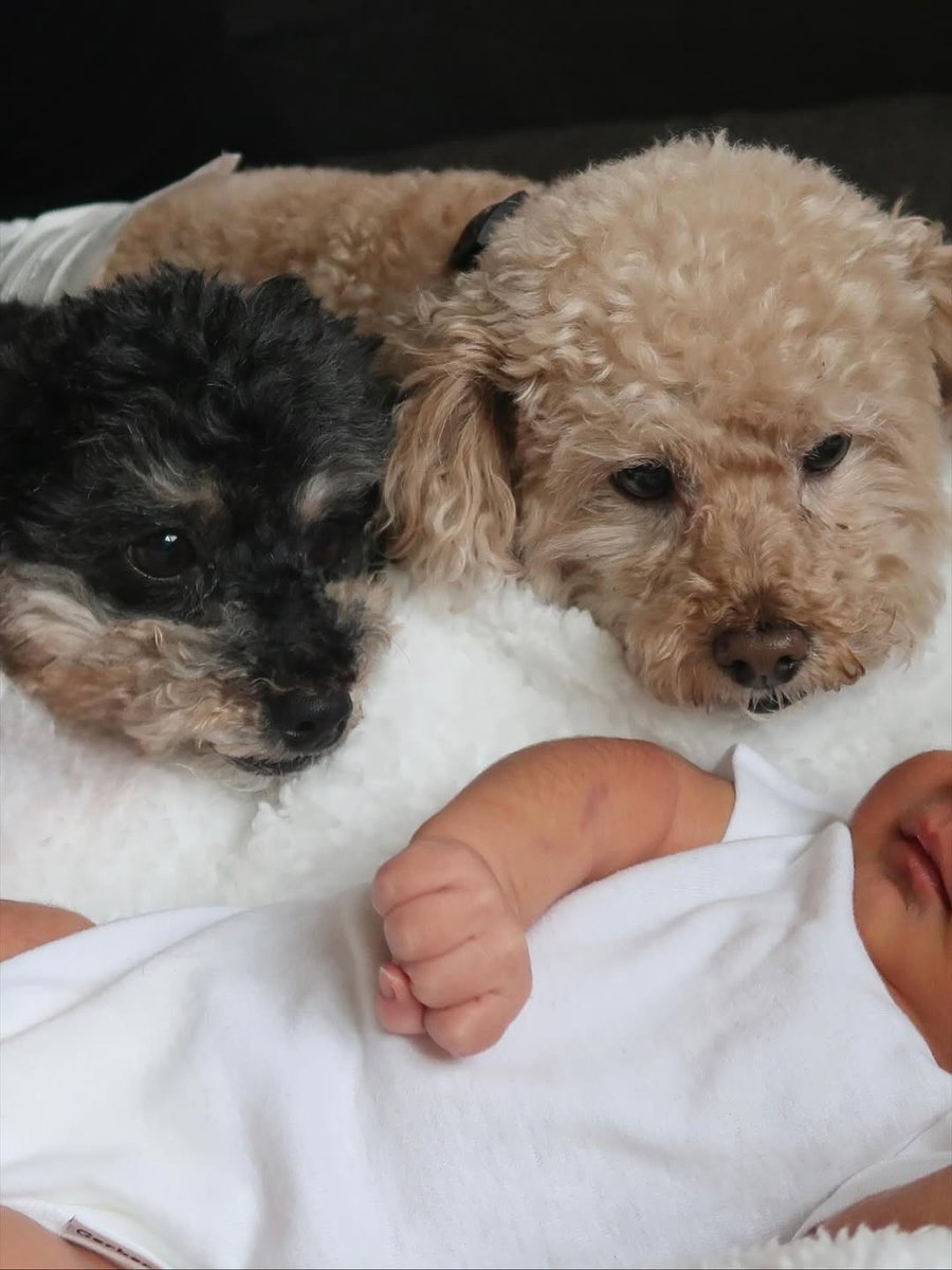 PopCrave's tweet photo. Tori Kelly announces her and husband André Murillo welcomed their first child on November 11th:

"Zayden Michael Murillo
11.11.25

we love you so much, sweet boy ♡" https://t.co/BVyqf7gm4U