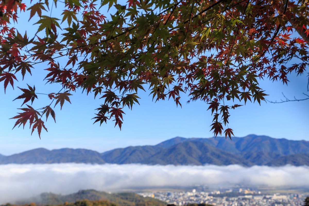 kouka17's tweet image. なんとか紅葉を絡めて雲海を撮りたかった

#eos6d