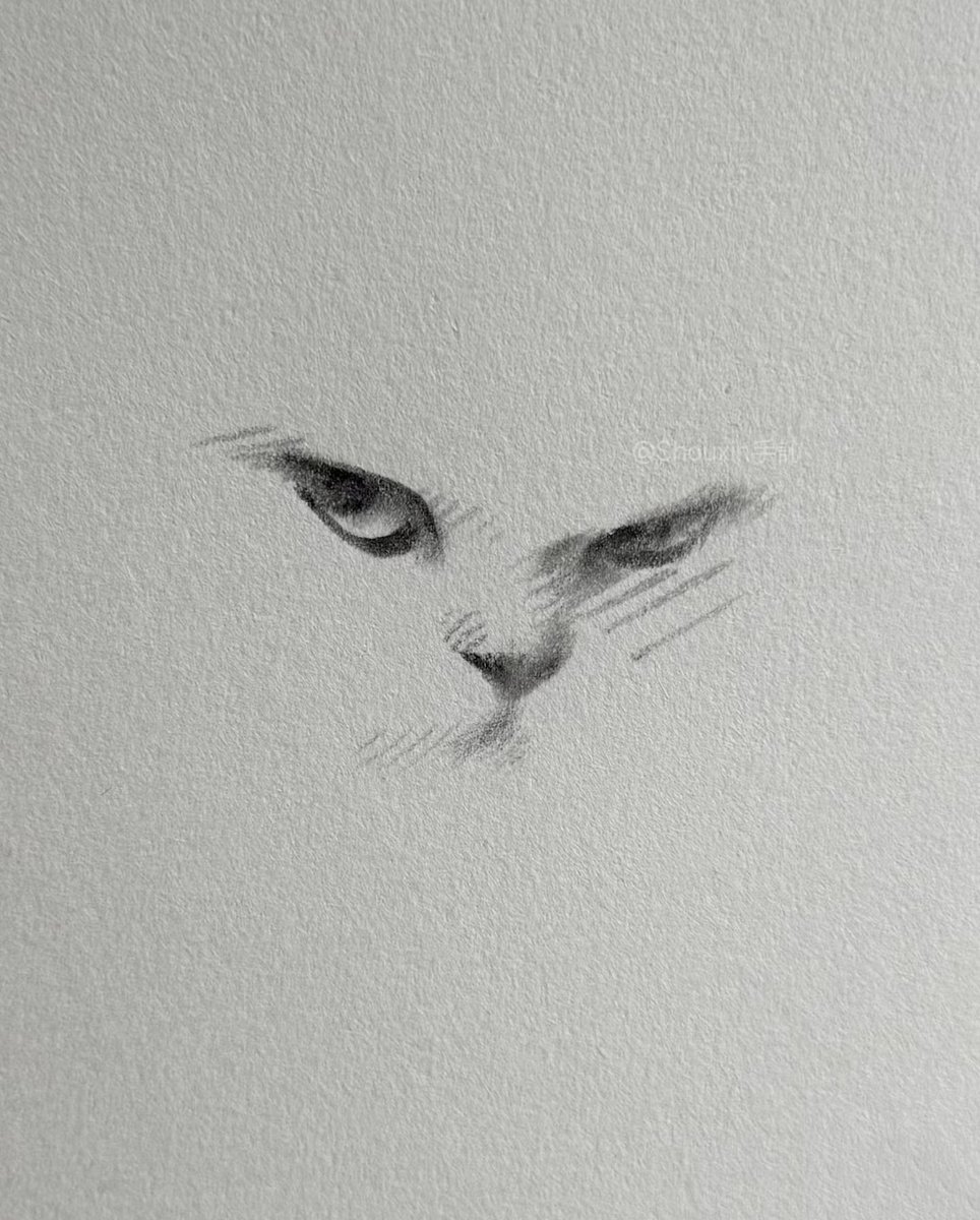 Cubebrush's tweet image. Cat face expressions by ShouXin手訫
Support the artist buff.ly/GDCQxhD

#digitalart #arttutorial #digitalpainting #howtodraw #fantasyart #artclass #photoshop #art #artwork #speedpaint #artist #design #tutorial