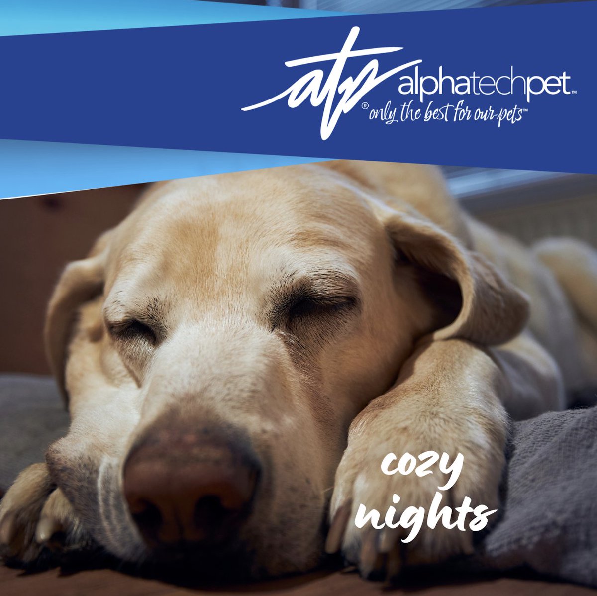 AlphaTechPetInc's tweet image. From morning cuddles to cozy nights, our pets fill our lives with gratitude and joy. Let’s cherish them today and every day! #ThankfulForPets #FurryFamily #GratefulTails