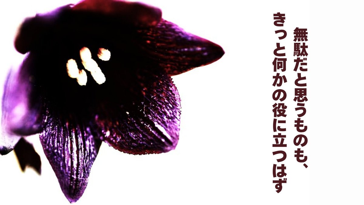 mkmmkkkmmmmm's tweet image. プライドが高すぎて、誰かを推すこともできない。
推し活をすること自体、推しの人間に負けを認めた感覚になる。
だが、この増大したプライドは何かの役に立つ未来があると信じている。
プライドを誇示し、己の価値を伝えていくのだ。
#小説 #ショートショート #Web小説 #推し不在 #推し活