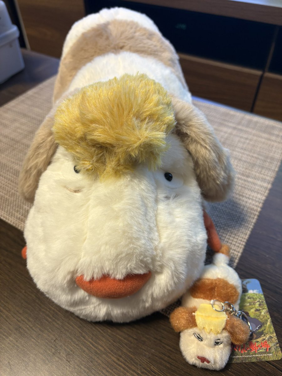 ♡専用です♡ 10cm ぬいぐるみ　ドングリ ♡専用です♡ 10cm ぬいぐるみ ドングリ ♡専用です♡ 10cm ぬいぐるみ