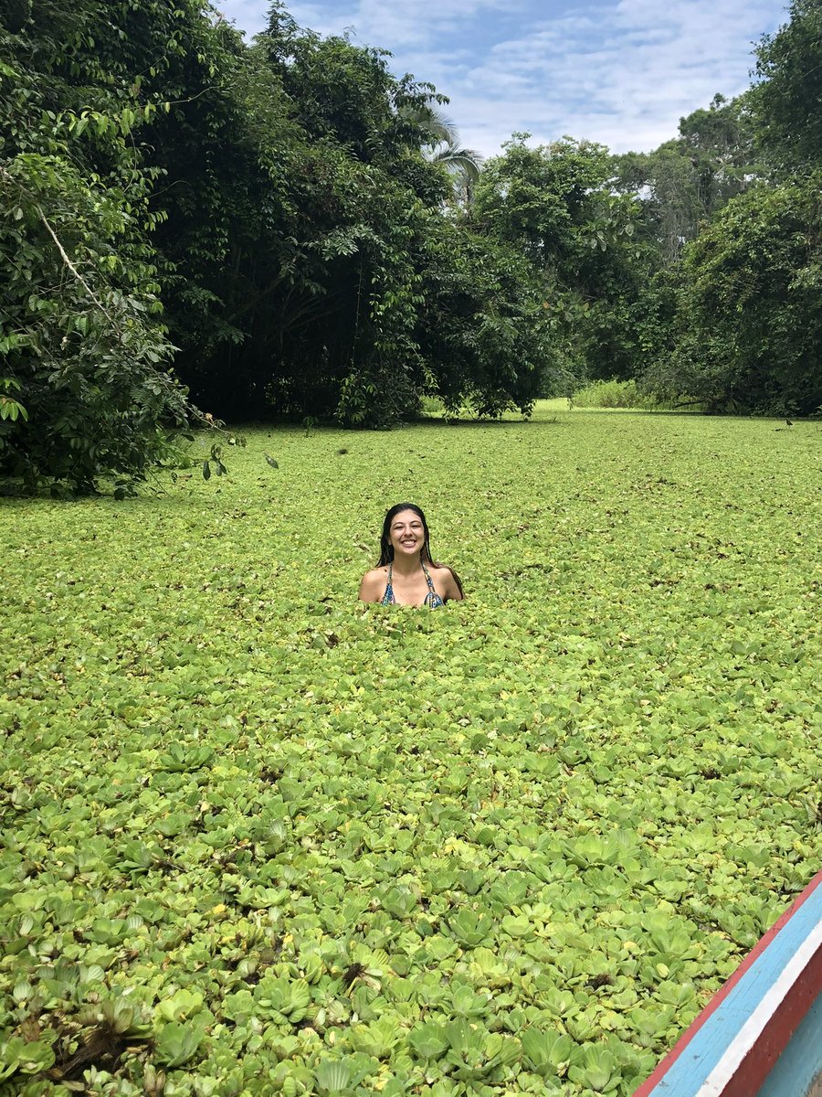 ceciakemi_'s tweet image. como é, amigo?