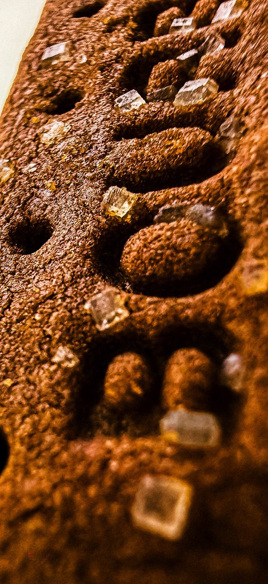 Drop your Macro Shots for MacroMonday !!

#Vyenkypics