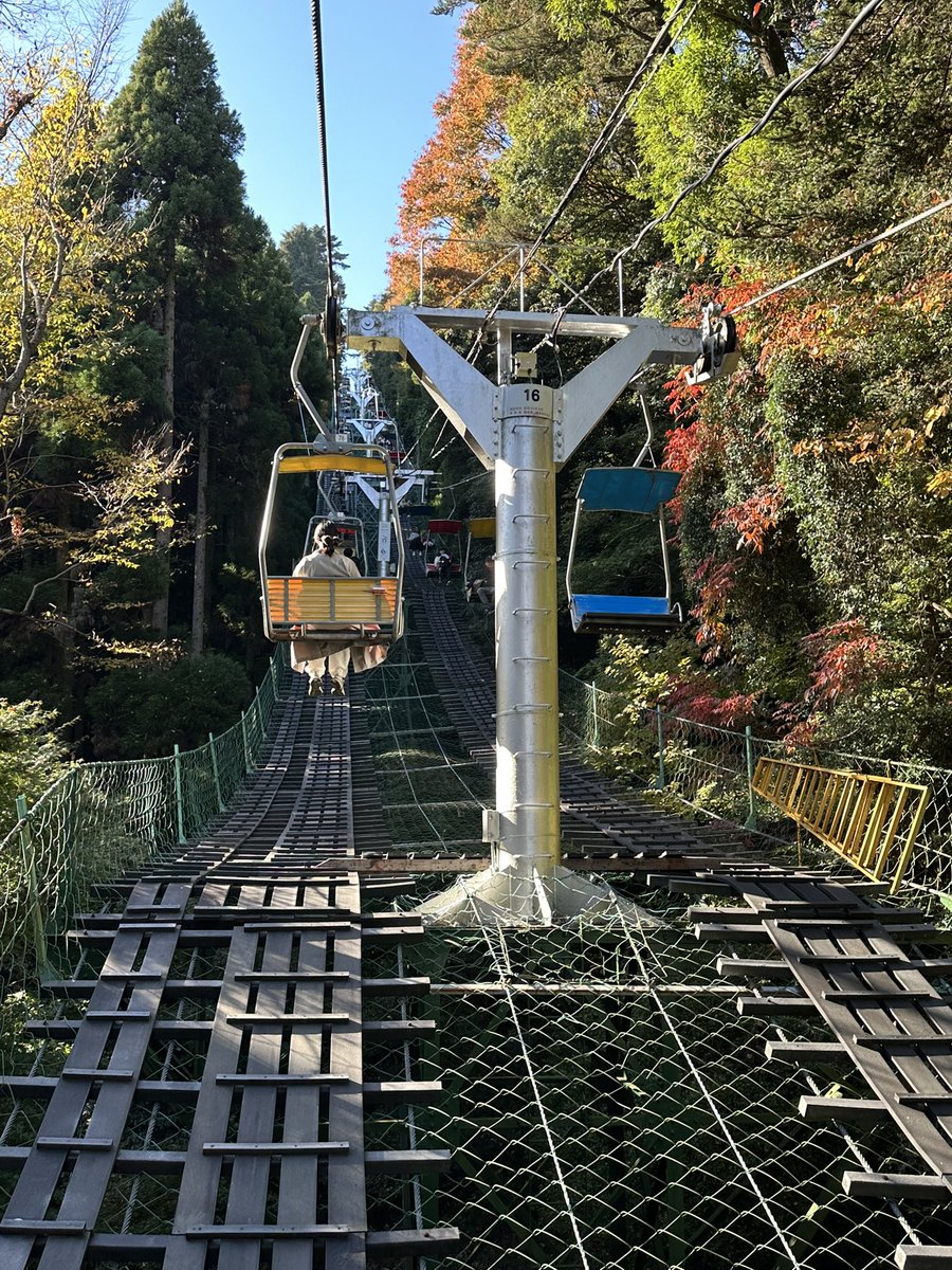 ケープキリン 尻尾 140～155cm ケープキリン 尻尾 140～155cm