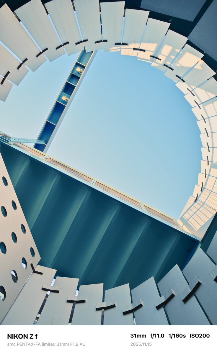 ミラーレスと一眼レフだと全然撮ってる写真が違う気がする…