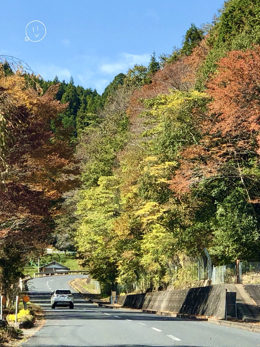 eO48544649's tweet photo. こんばんは🌙✨
#過去写真
#岐阜県 #恵那市
Good evening. 🌃
A view of autumn in #EnaCity,
#Gifu Prefecture, #Japan. https://t.co/MpOwh5VKtc