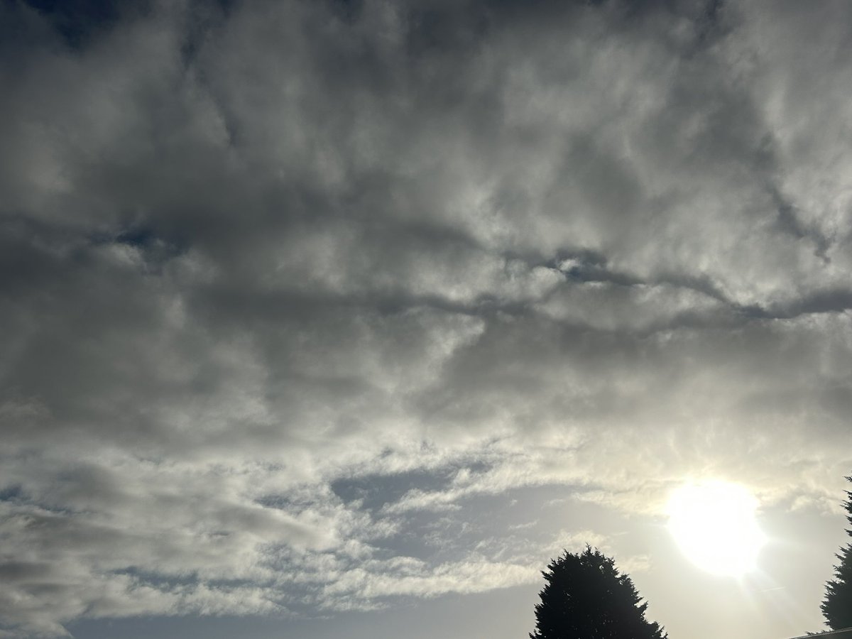 chatswithem's tweet image. Some blue and actual sunshine today 
👏🏼👏🏼👏🏼 ( although forecast says no cloud )

Makes all the difference 🙌🏼