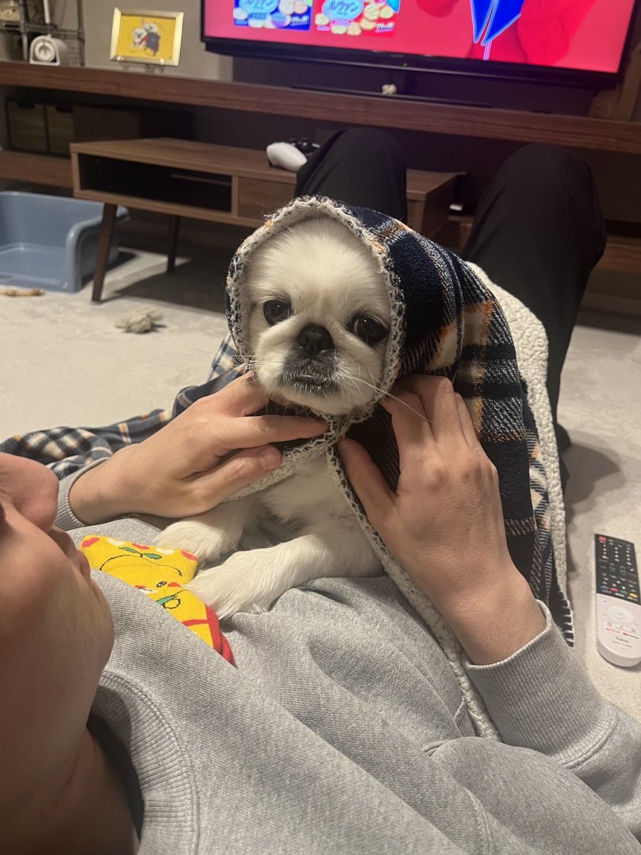 🎃一二三四🍎一日一回ストガチャ (@3417876760) / Posts / X