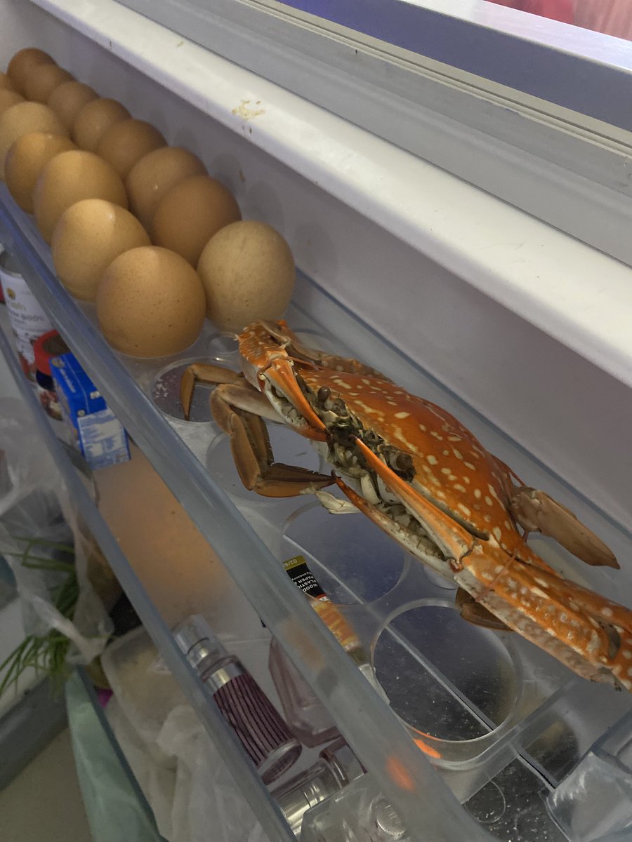 marchsmn's tweet image. บ้านใครมีมะนาวผ่าซีกก็มีไปนะคะ บ้านเรามีปูม้าค่ะ