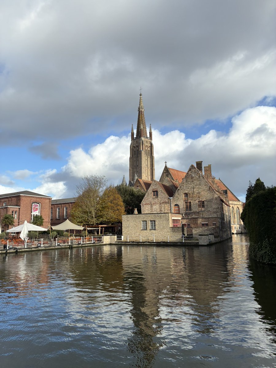 Wildkatze tweet media