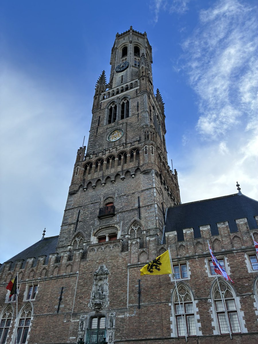 Wildkatze tweet media