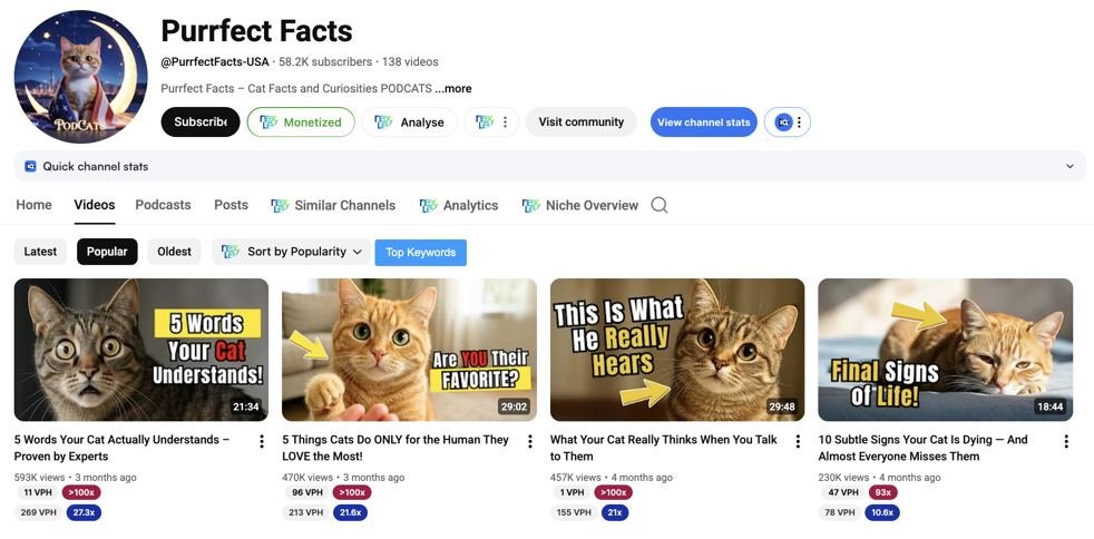 iamvkymunir's tweet image. If you are still struggling to start a YouTube channel, here are the 5 niches you can start and make more than $10,000 next month.
All of them are easy to make.
Script through ChatGPT.
VoiceOver through 11labs, cartesia, aistudio or any free LLM.
Video editing: Either hire one or…