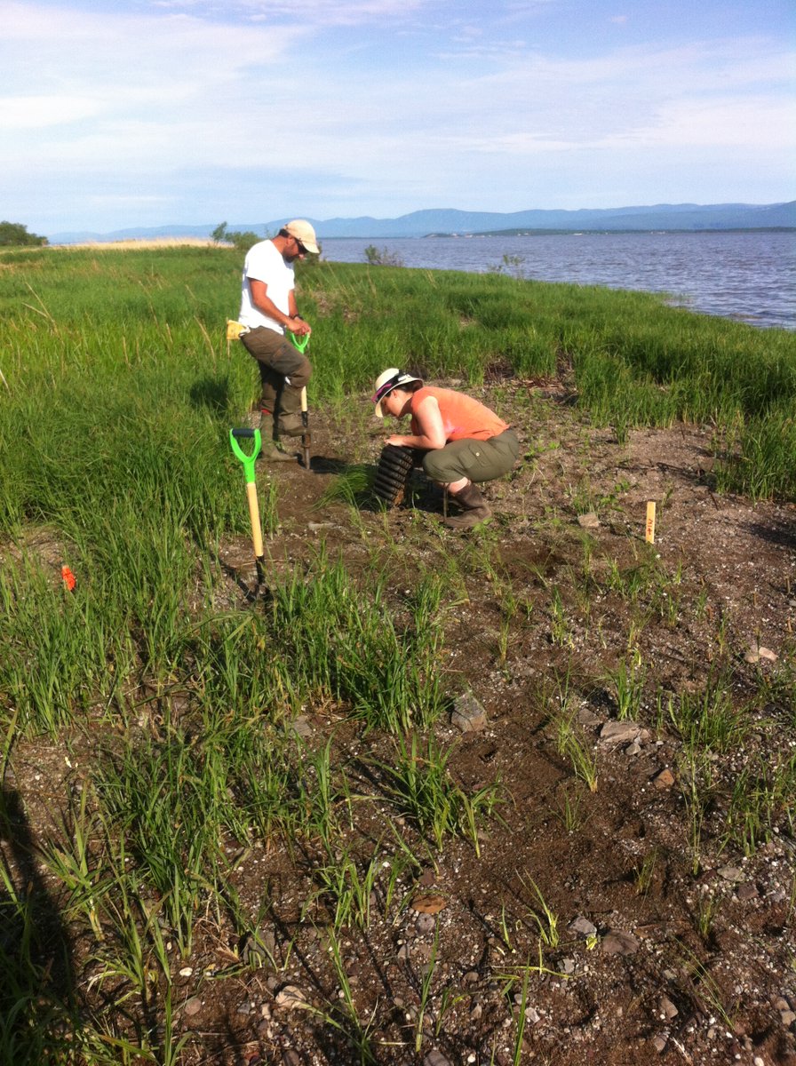 Let’s protect the St. Lawrence River! The Priority Intervention Program supports projects that improve #WaterQuality and restore aquatic #ecosystems. 

Submit your project by December 18, 2025: ow.ly/QqwE50Xr2NU