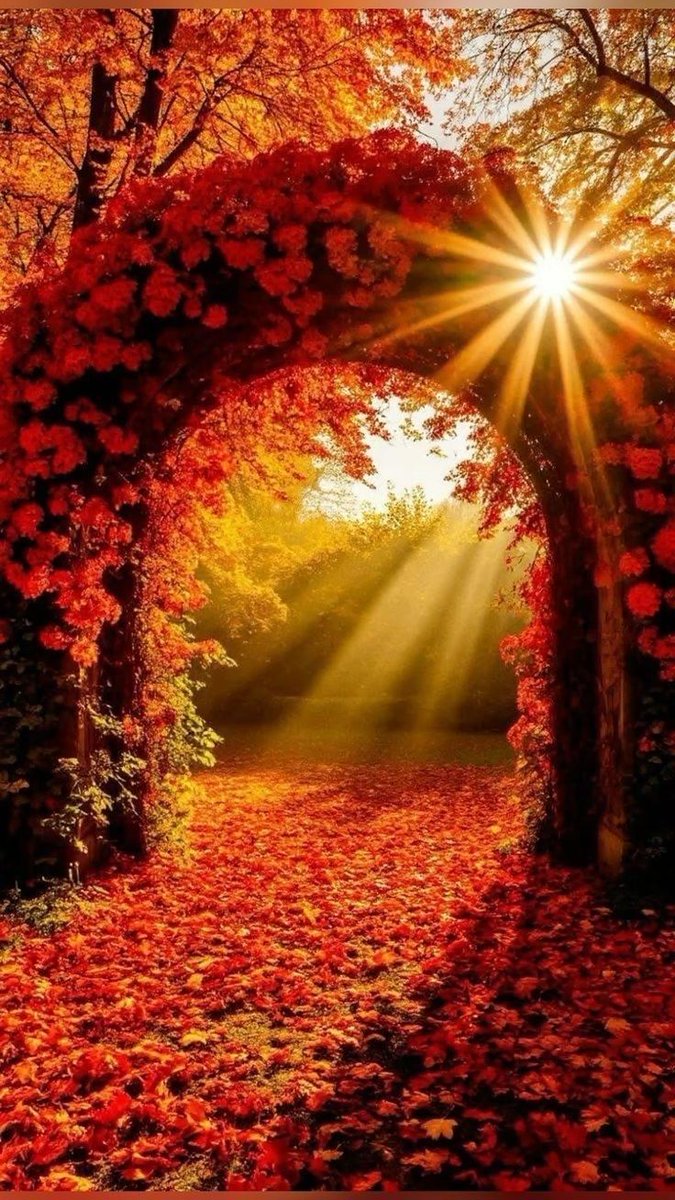 ramblingsloa's tweet image. Nothing can dim the light which shines from within.

Maya Angelou