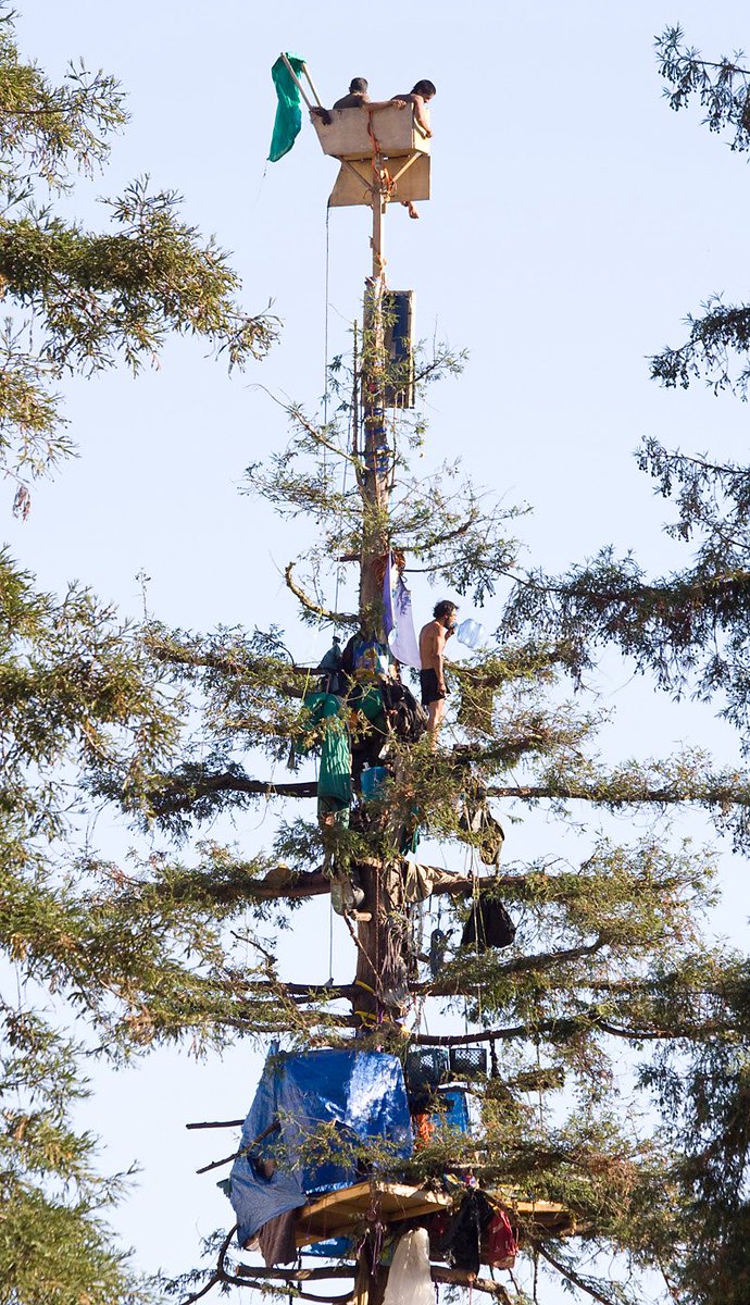 TomeiTyler's tweet image. Big game meme board