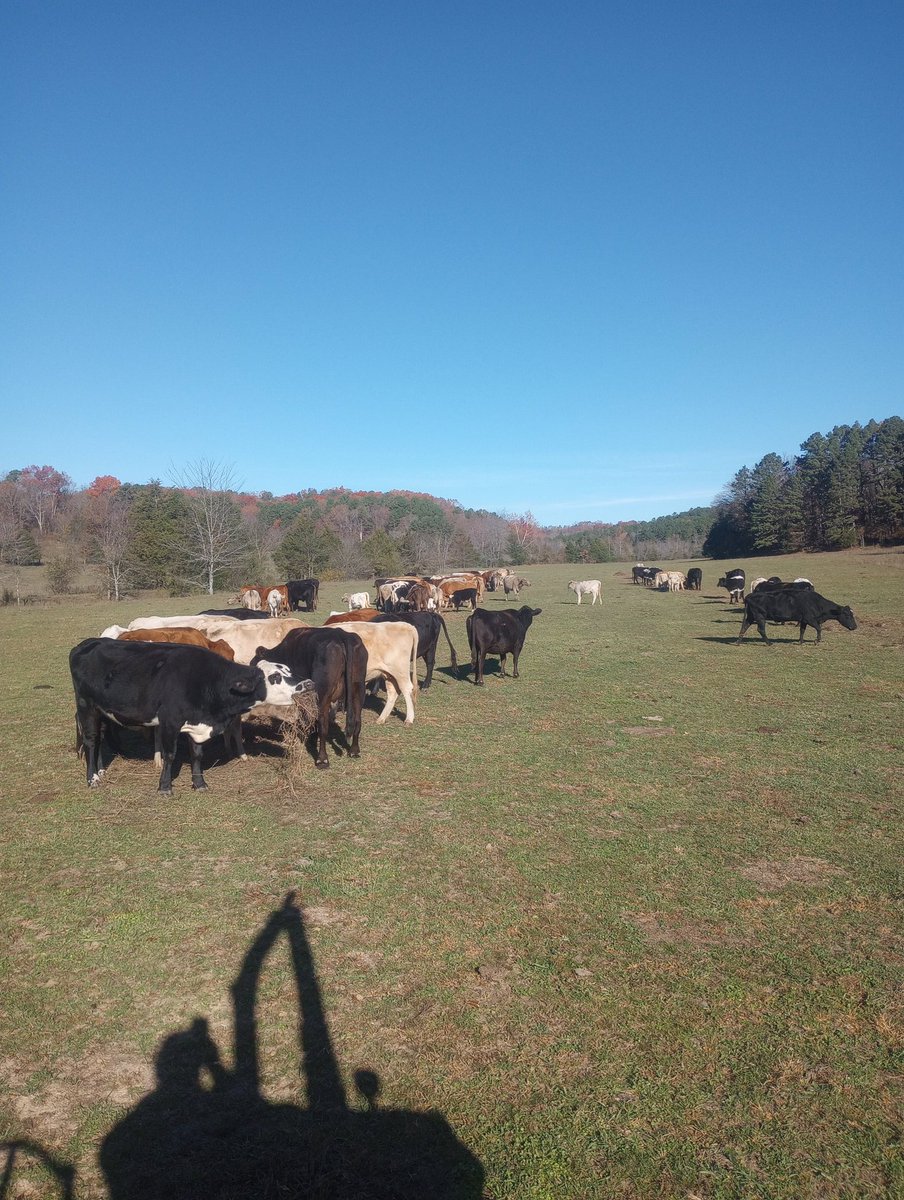 I still believe that if farmers and ranchers, gardeners, homesteaders, and nature lovers could come together we could take over much of the social media. Let's find each other and build a community so we can strengthen our future.