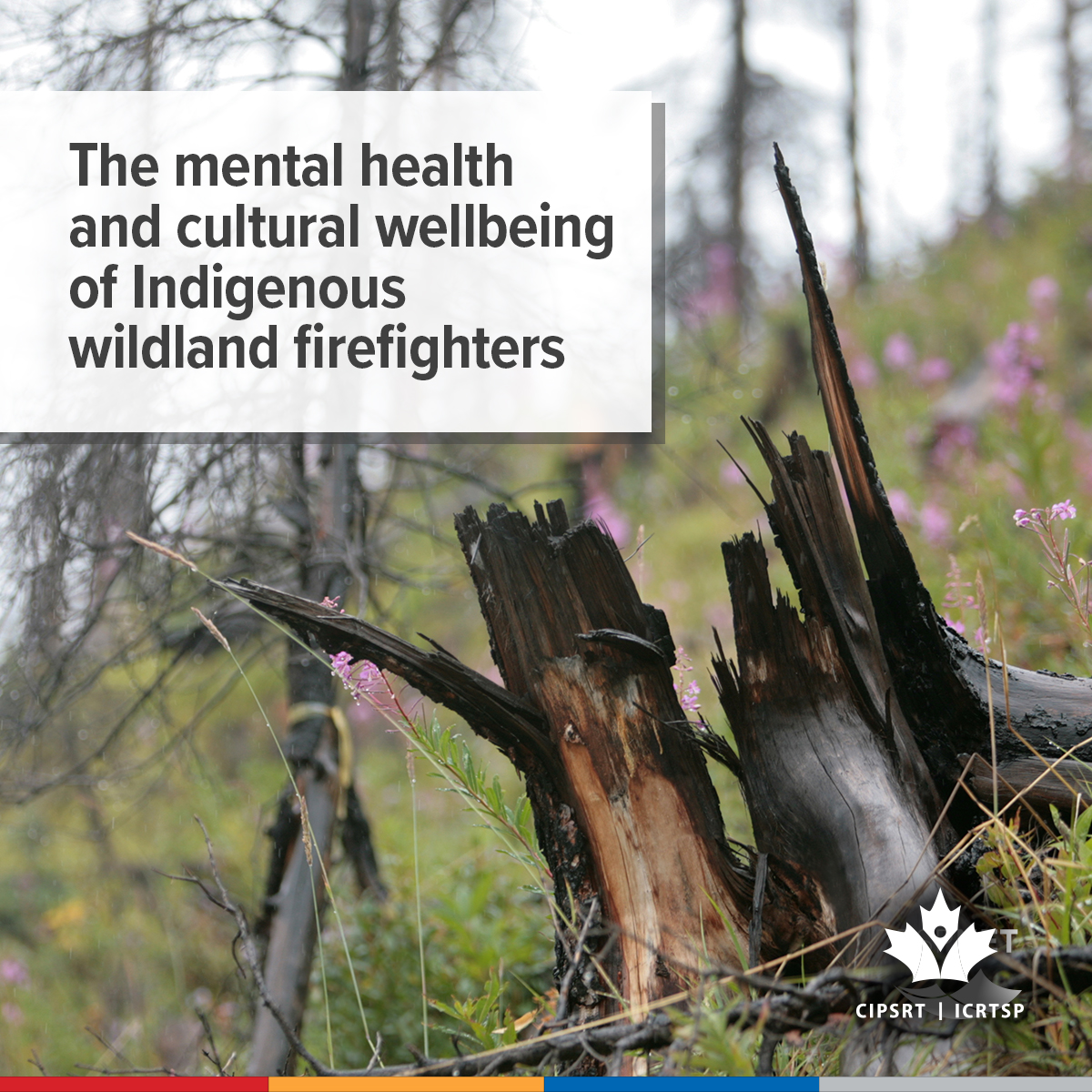 CIPSRT_ICRTSP's tweet image. Indigenous firefighters navigate a  living colonial history alongside the other considerable challenges associated with wildland firefighting. Join us Thursday, December 11 (11:00 am EST) for an online discussion of the unique challenges and stressors experienced by Indigenous…