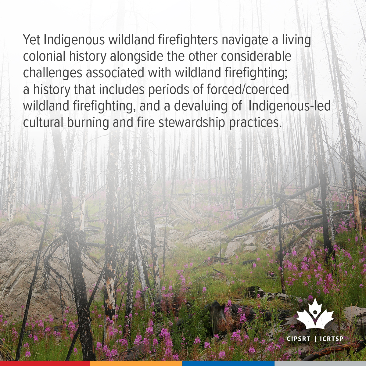 CIPSRT_ICRTSP's tweet image. Indigenous firefighters navigate a  living colonial history alongside the other considerable challenges associated with wildland firefighting. Join us Thursday, December 11 (11:00 am EST) for an online discussion of the unique challenges and stressors experienced by Indigenous…