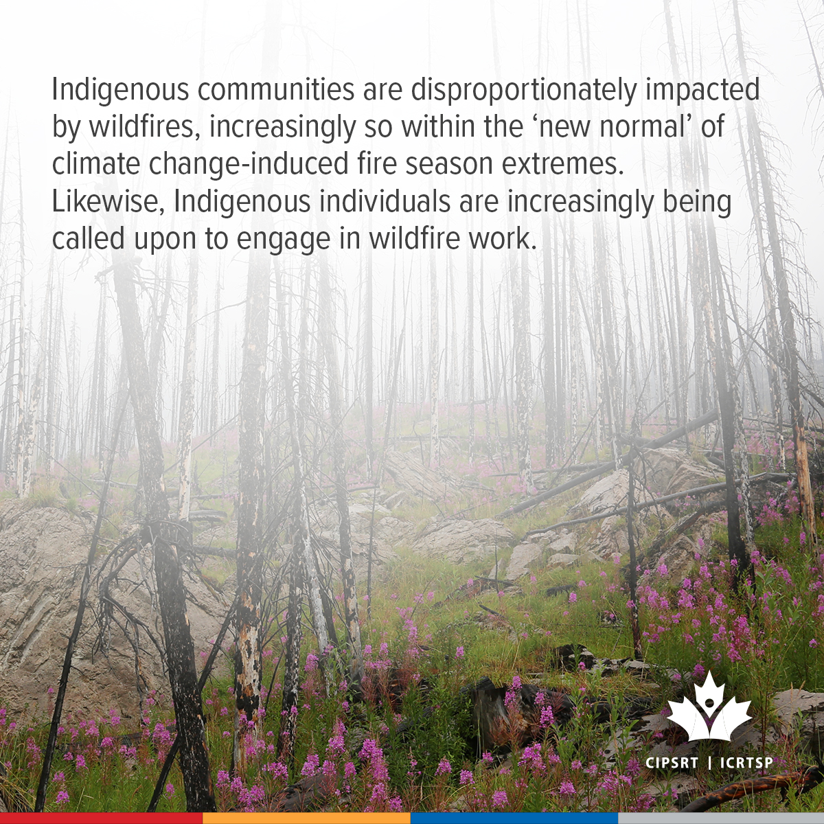 CIPSRT_ICRTSP's tweet image. Indigenous firefighters navigate a  living colonial history alongside the other considerable challenges associated with wildland firefighting. Join us Thursday, December 11 (11:00 am EST) for an online discussion of the unique challenges and stressors experienced by Indigenous…