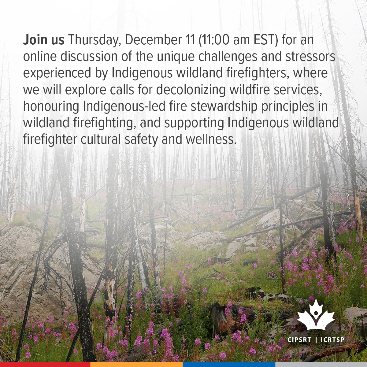 CIPSRT_ICRTSP's tweet image. Indigenous firefighters navigate a  living colonial history alongside the other considerable challenges associated with wildland firefighting. Join us Thursday, December 11 (11:00 am EST) for an online discussion of the unique challenges and stressors experienced by Indigenous…