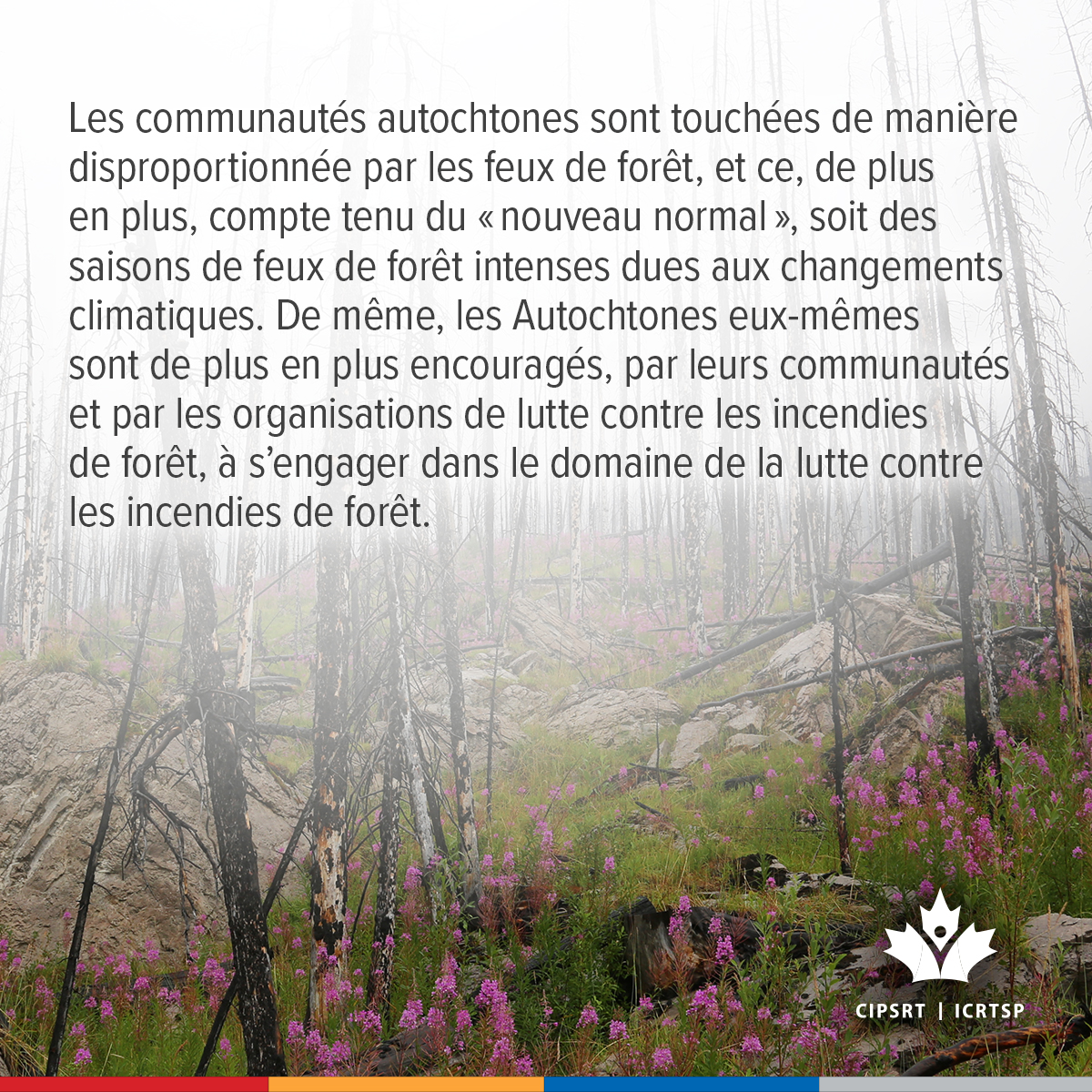 CIPSRT_ICRTSP's tweet image. Les pompiers autochtones doivent composer avec un passé colonial en plus des autres défis considérables liés à la lutte contre les feux de forêt. Le jeudi 11 décembre (11 h HNE) participez à la discussion virtuelle sur les défis et les facteurs de stress considérables que vivent…
