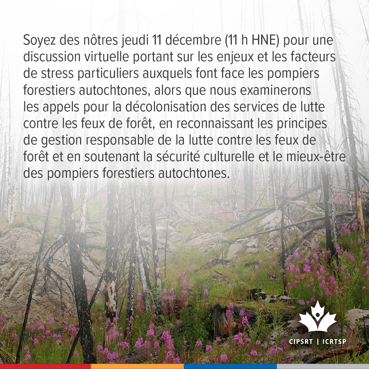 CIPSRT_ICRTSP's tweet image. Les pompiers autochtones doivent composer avec un passé colonial en plus des autres défis considérables liés à la lutte contre les feux de forêt. Le jeudi 11 décembre (11 h HNE) participez à la discussion virtuelle sur les défis et les facteurs de stress considérables que vivent…