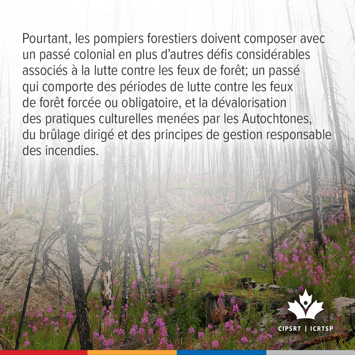 CIPSRT_ICRTSP's tweet image. Les pompiers autochtones doivent composer avec un passé colonial en plus des autres défis considérables liés à la lutte contre les feux de forêt. Le jeudi 11 décembre (11 h HNE) participez à la discussion virtuelle sur les défis et les facteurs de stress considérables que vivent…