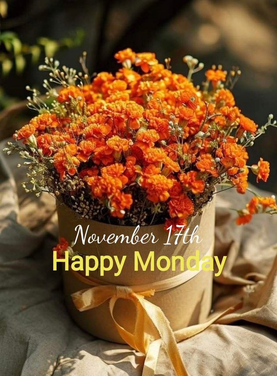 MaryMillitello's tweet image. @GreatDayStLouis #GDSTL @LauraKHettiger @WeatherChambers @KentEhrhardt 
Good Morning! I love when you share your weekend stories &amp;amp; photos. Have a Wonderful Week! 🧡🧡🧡